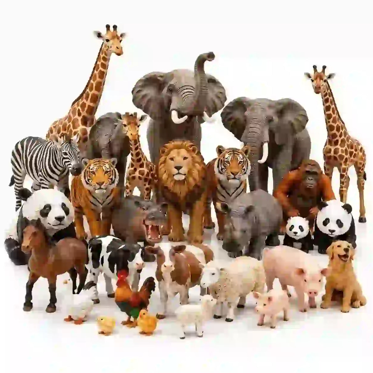 Animals